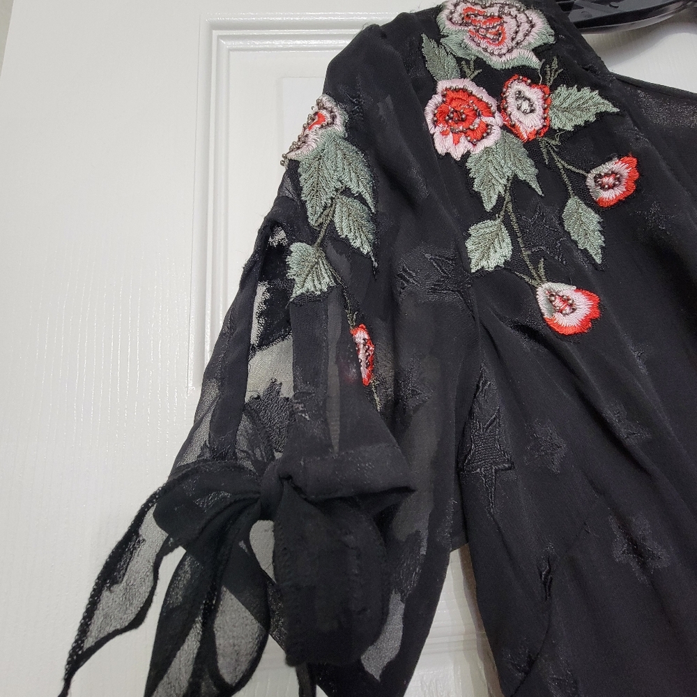 Super cute Topshop dress.  Black,  sheer  with rose embroidered embellishments. - Picture 3 of 10